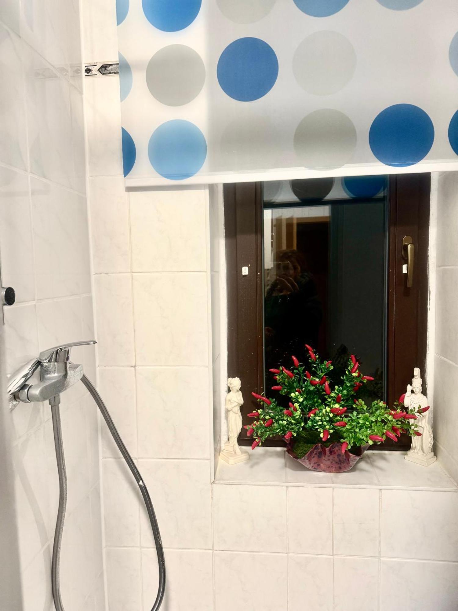 Ferienzimmer Healing Und Montuerwohnung Weißenfels Eksteriør billede