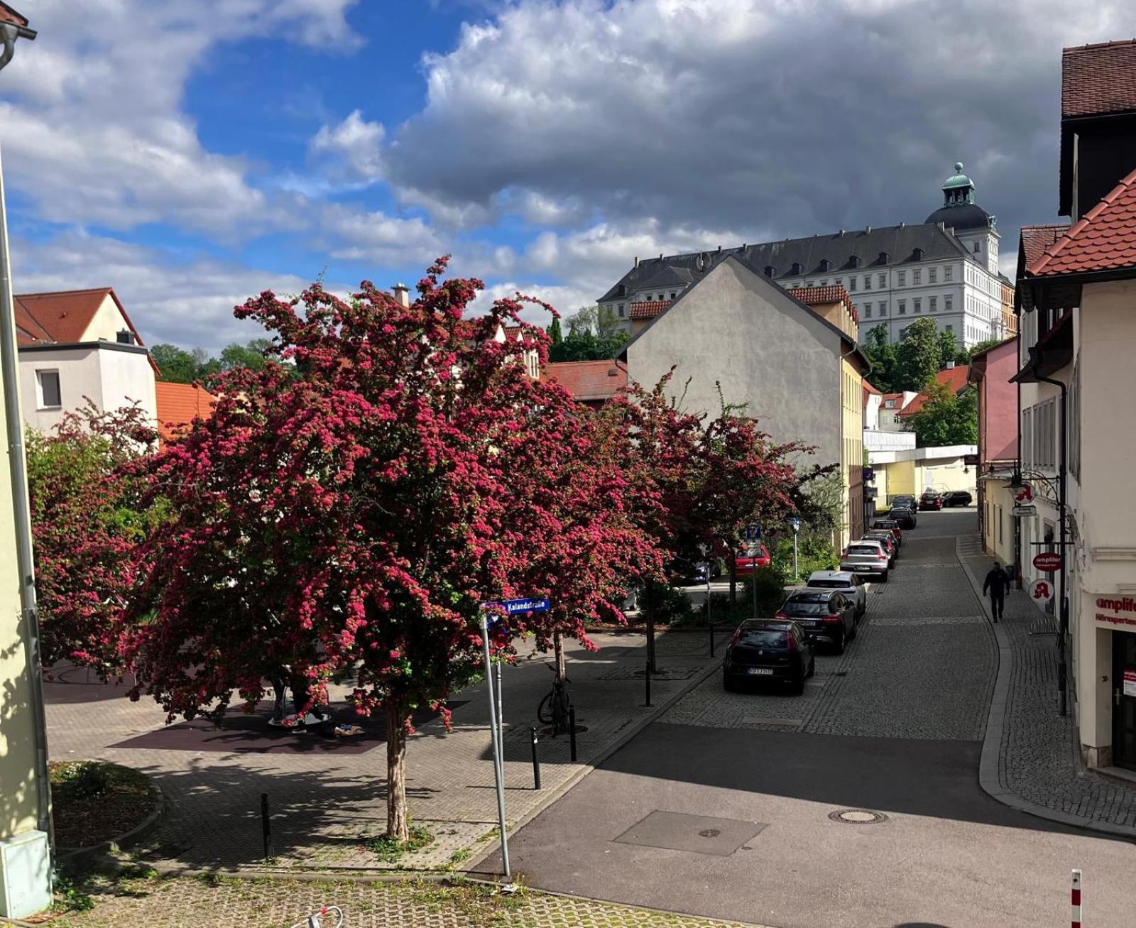 Ferienzimmer Healing Und Montuerwohnung Weißenfels Eksteriør billede